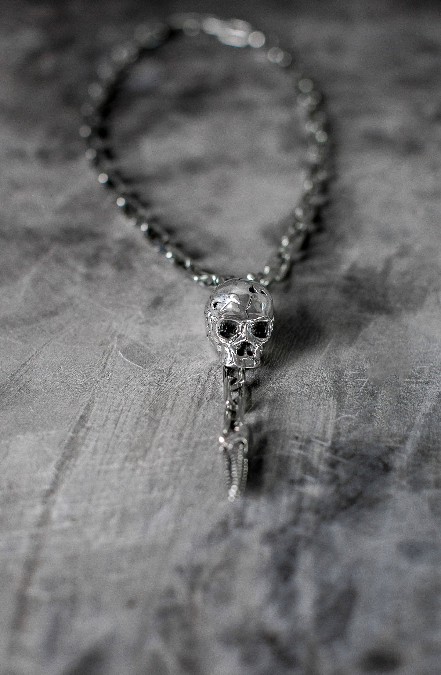 Silver Skull w/ Alien Spine Lariat
