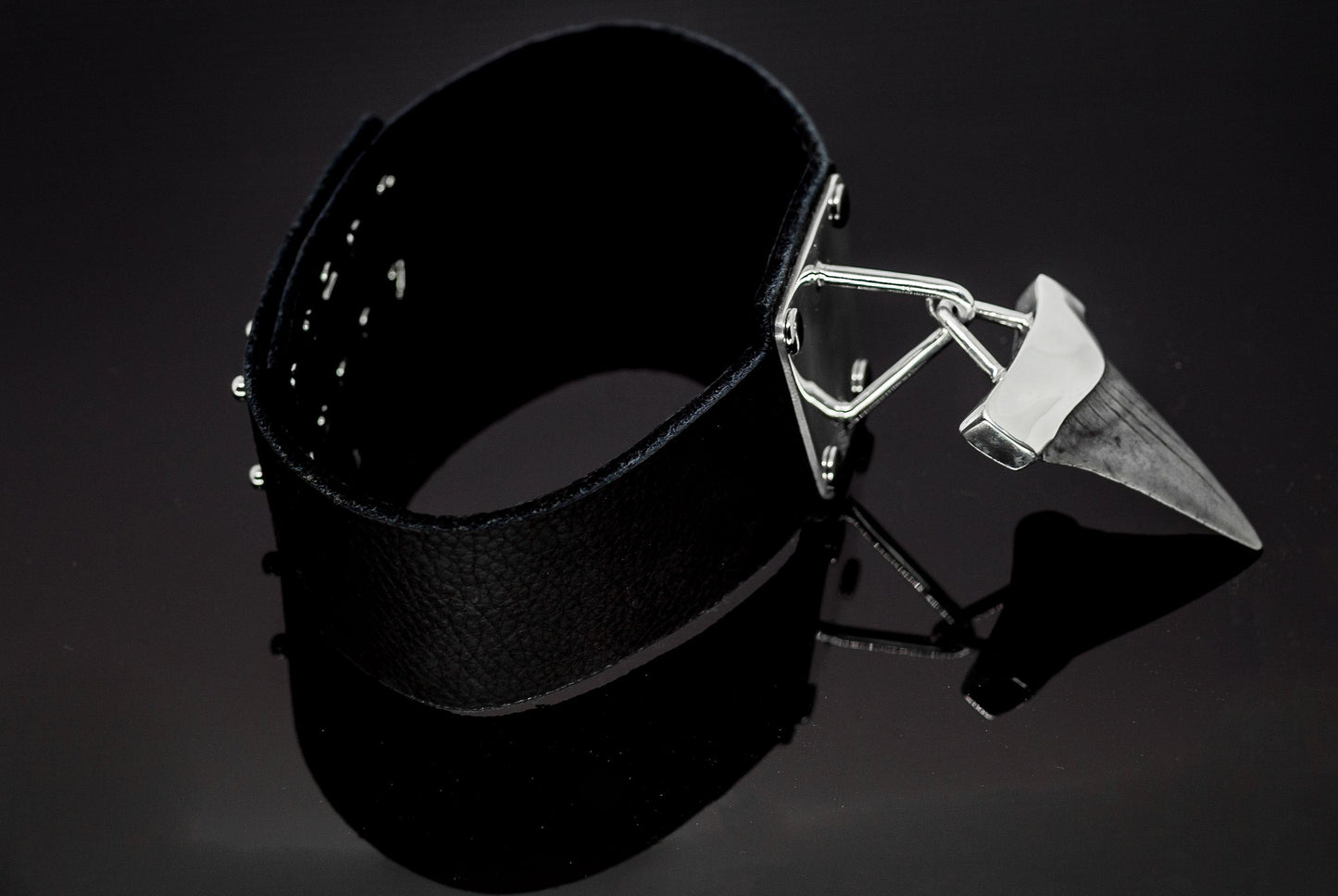 Megalodon Shark Tooth Silver and Leather Choker