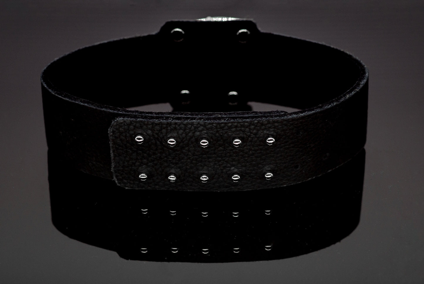 Megalodon Shark Tooth Silver and Leather Choker