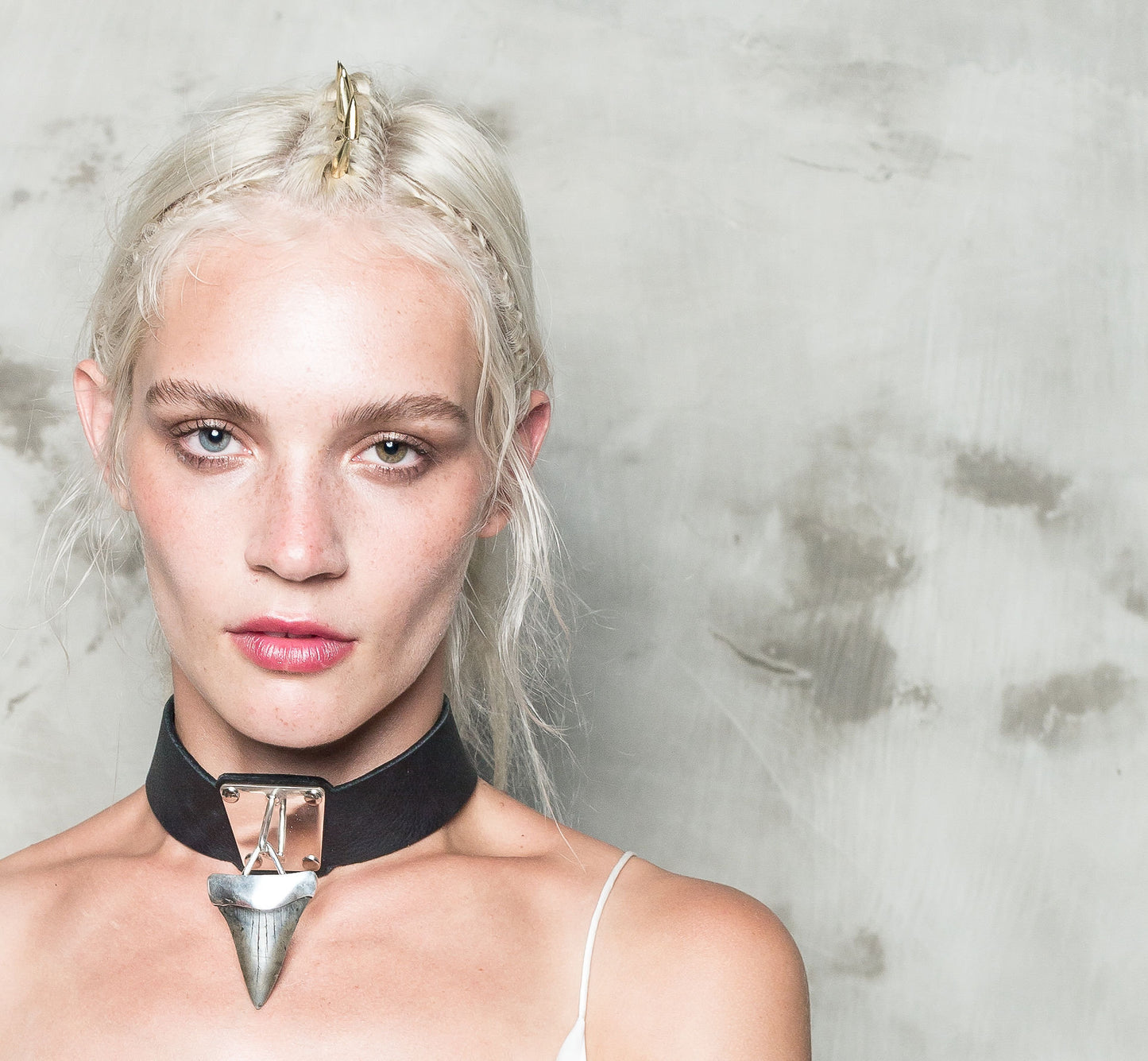 Megalodon Shark Tooth Silver and Leather Choker