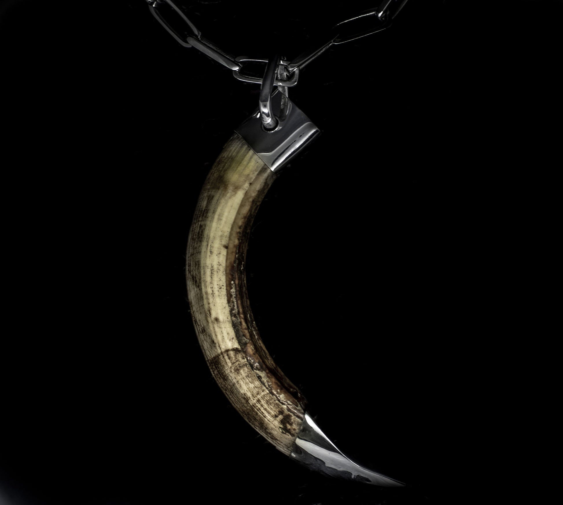 Buy Real Tusk Tribal Chocker Necklace for Men - Tooth Necklace for Men -  Wild Boar Tooth - Men's Gifts - Primitive Rustic OOAAK Jewelry (c) Online  at desertcartINDIA