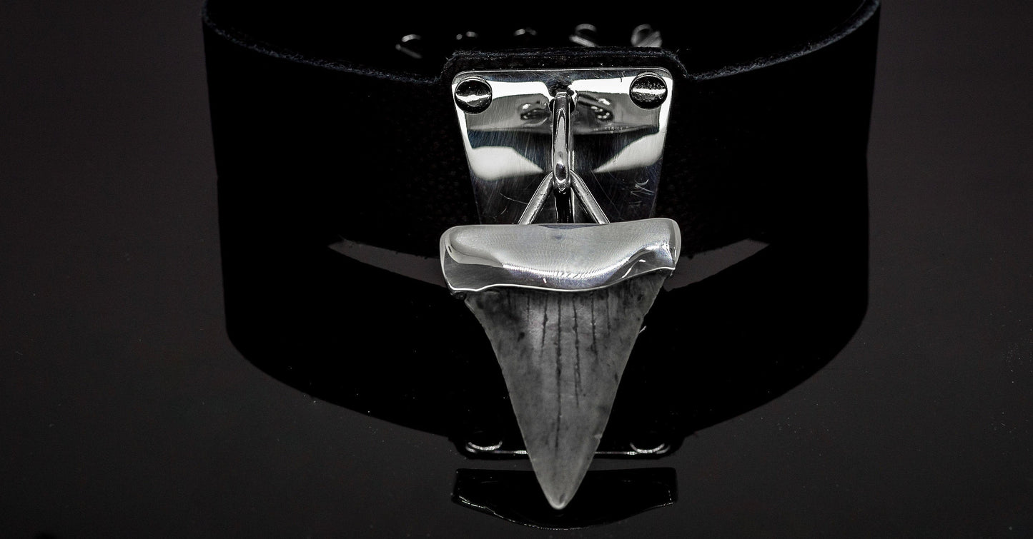 Megalodon Shark Tooth Silver and Leather Choker