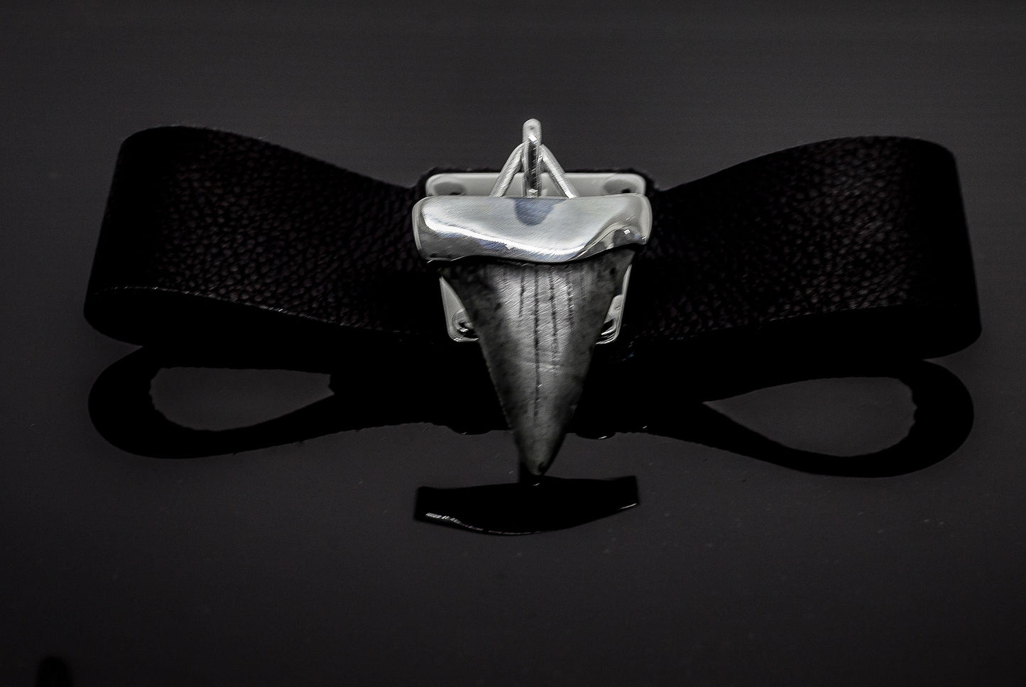 Megalodon Shark Tooth Silver and Leather Choker