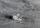 Black Diamond Eye Silver Skull RIng
